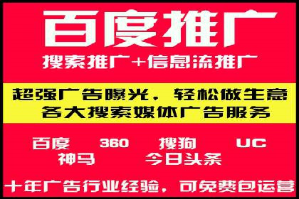 行业领先企业的SEM运营策略案例解析